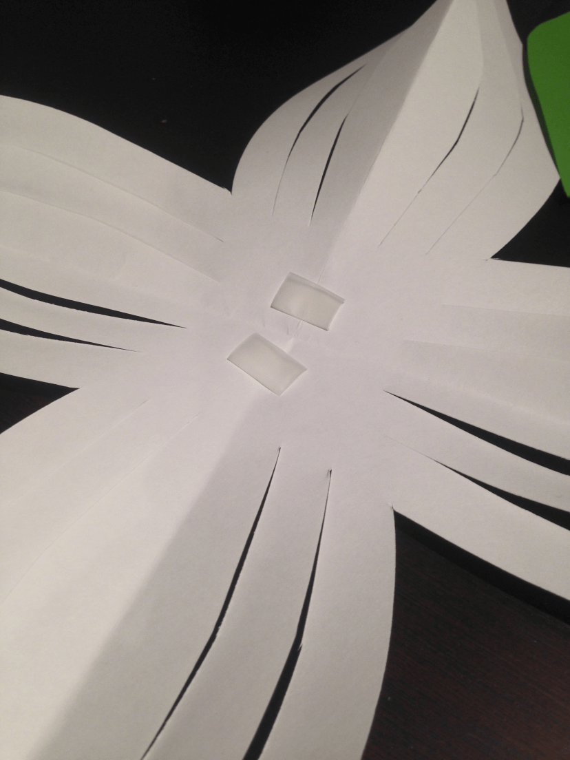 Aviary Photo_130333712256930132