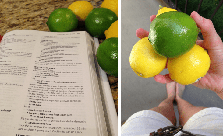 Joy of Cooking and Fruit