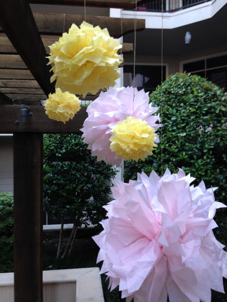 Magic Pom Poms by Bunny Baubles