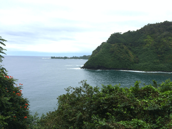 Maui Hawaii Vacation Part 1 by Bunny Baubles Blog 15