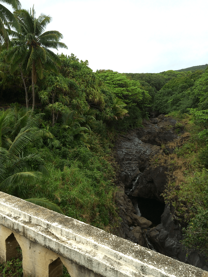 Maui Hawaii Vacation Part 1 by Bunny Baubles Blog 17