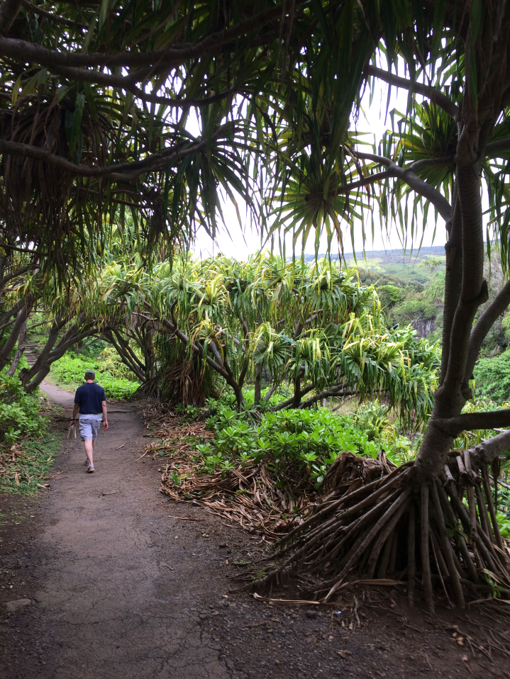 Maui Hawaii Vacation Part 1 by Bunny Baubles Blog 40