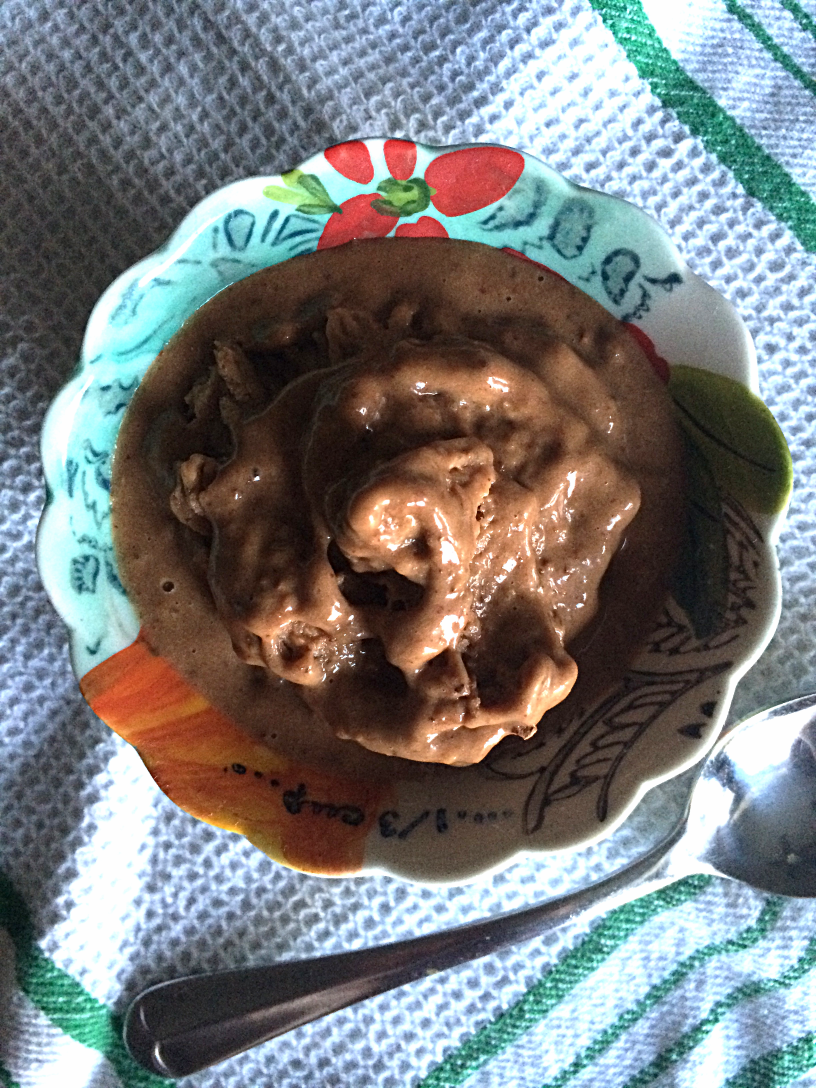 Guilt Free Chocolate Banana Almond Ice Cream by Bunny Baubles Blog 3
