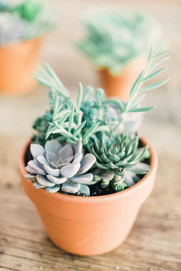 Photo Credit: Waiting On Martha